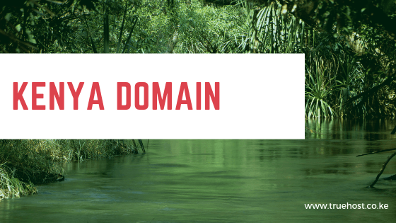 kenya domain