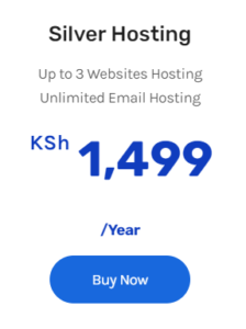 cost to host a website in Kenya