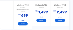 LiteSpeed VPS in Kenya